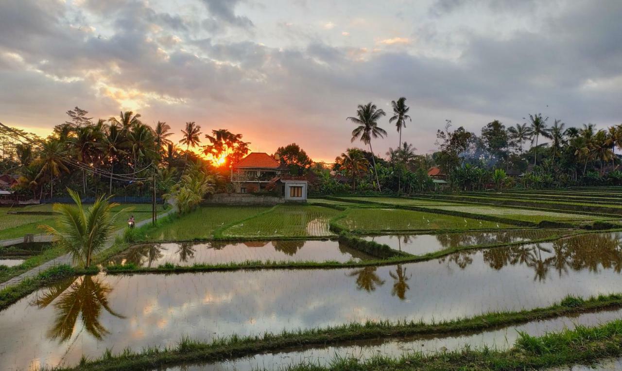 Umah Bali Villa Ubud  Luaran gambar